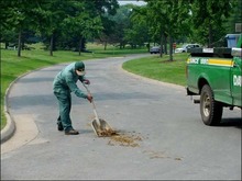 Maintenance Worker