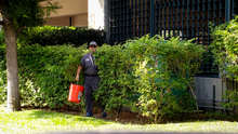 Maintenance Worker